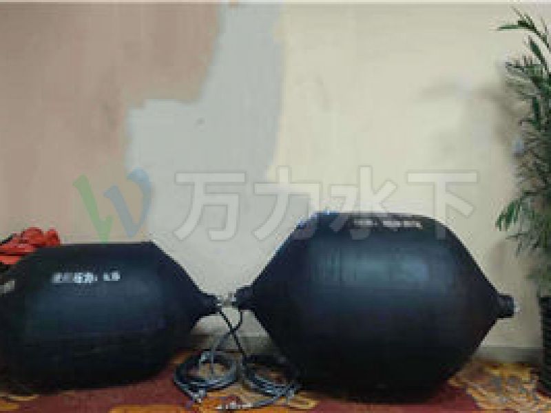 高低壓管道堵漏氣囊